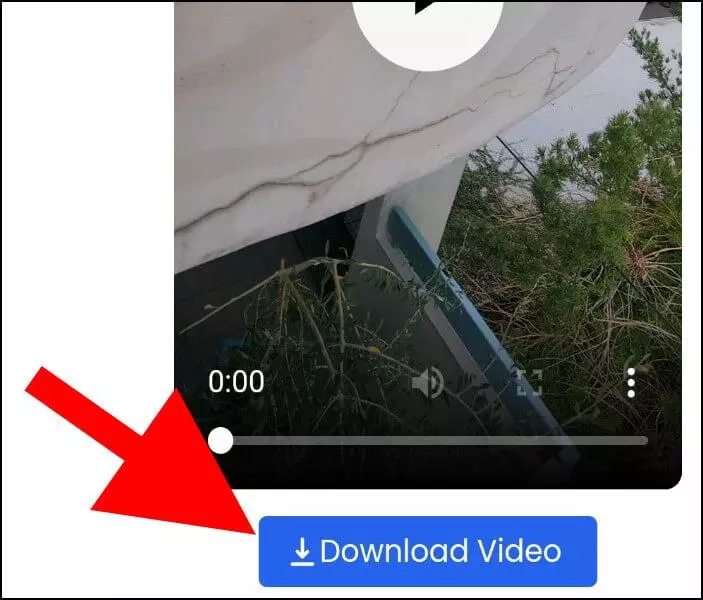 לחצו על Download Video כדי להוריד את הסרטון רילס למחשב או לסמארטפון