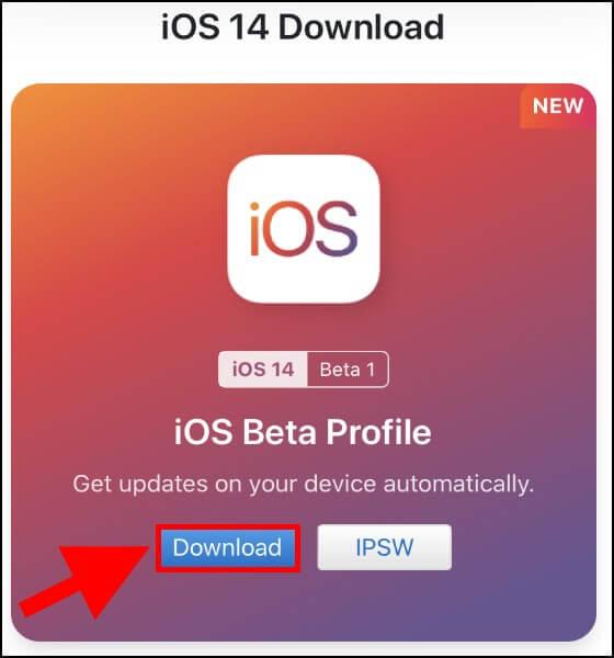 לחצו על כפתור ה- Download להורדת הבטא של iOS 14
