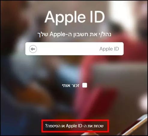 איפוס סיסמה דרך דף חשבון ה- Apple ID