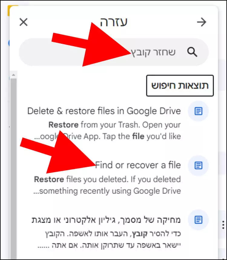 בתוצאות החיפוש, לחצו על "Find or recover a file"