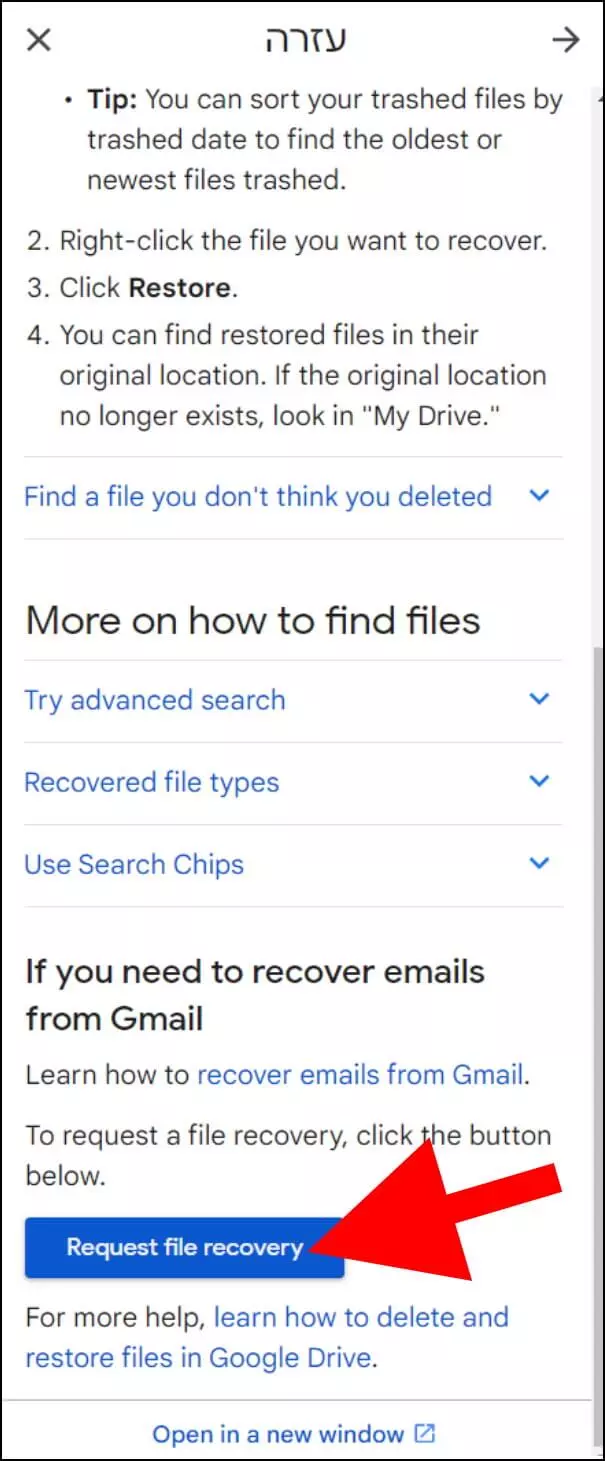בחלונית שנפתחה, גללו למטה עד שתגיעו ללחצן "Request file recovery"