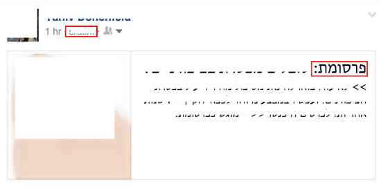 כיצד נראה פוסט פרסומי בפייסבוק/