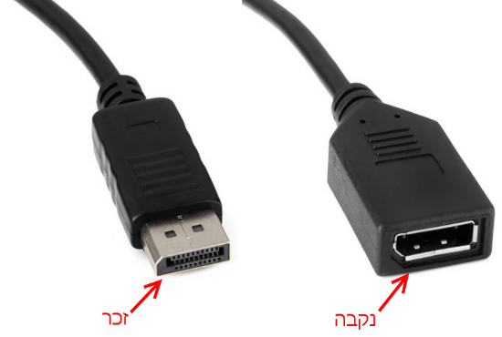 חיבור DP זכר ונקבה/