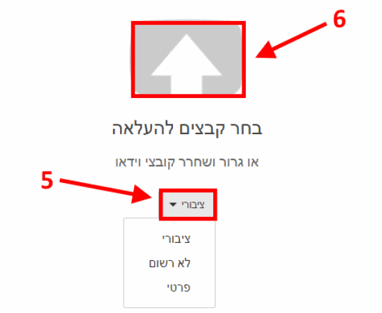 סרטון פרטי ביוטיוב/