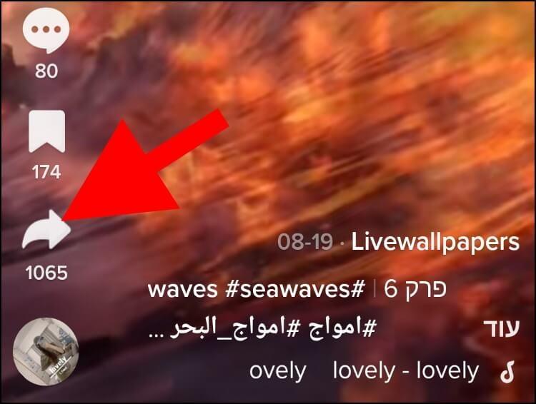 בסרטון לחצו על לחצן השיתוף