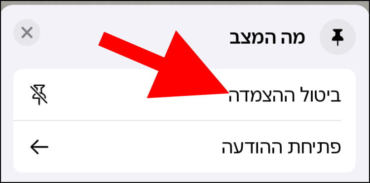 בוואטסאפ לאייפון, לחצו על ביטול ההצמדה כדי לבטל את ההודעה המוצמדת