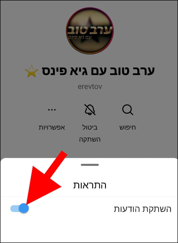 לחצו על השתקת התראות כדי לכבות את ההתראות הנשלחות מערוץ השידור באינסטגרם