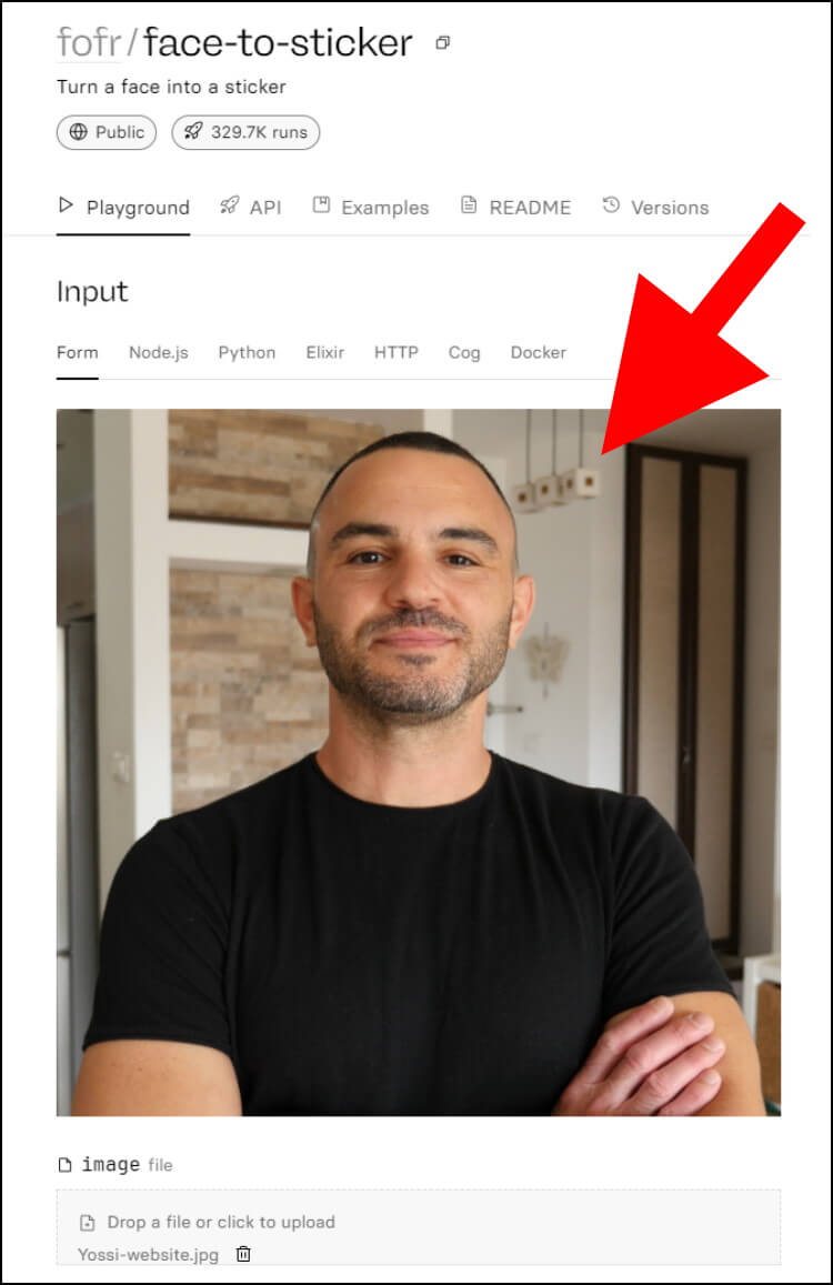 המתינו עד שהתמונה שלכם תופיע באזור ה- Input באתר Replicate