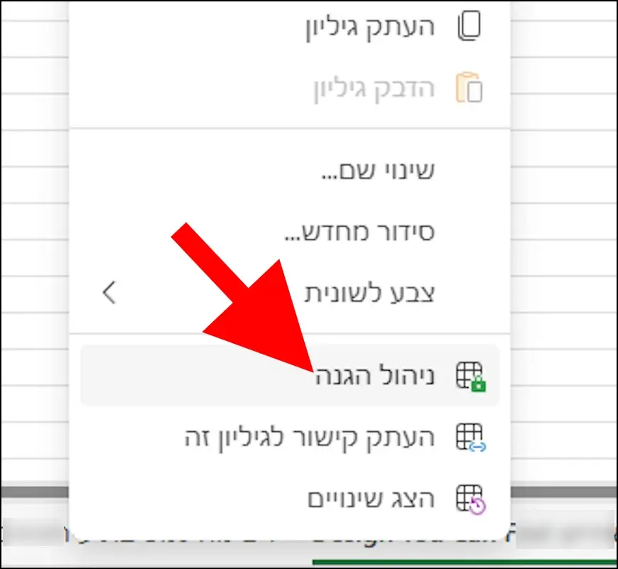 בחרו באפשרות ניהול הגנה באקסל