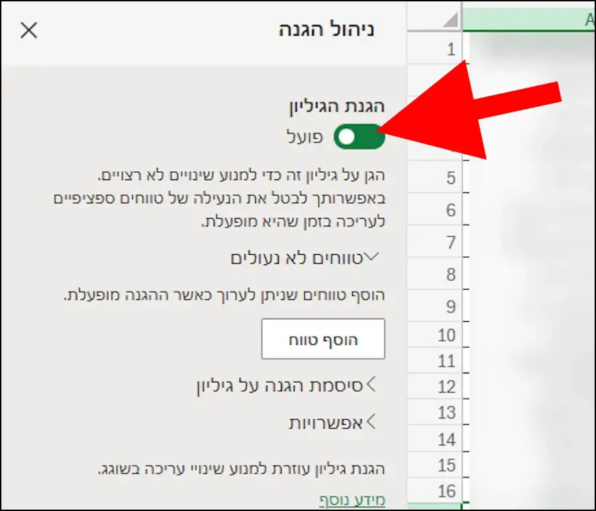 הגנה על הגיליון באקסל אונליין
