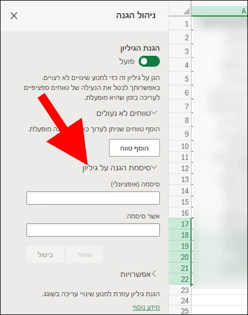לחצו על "סיסמת הגנה על גיליון"