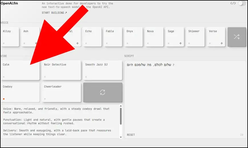 בחירת ווייב