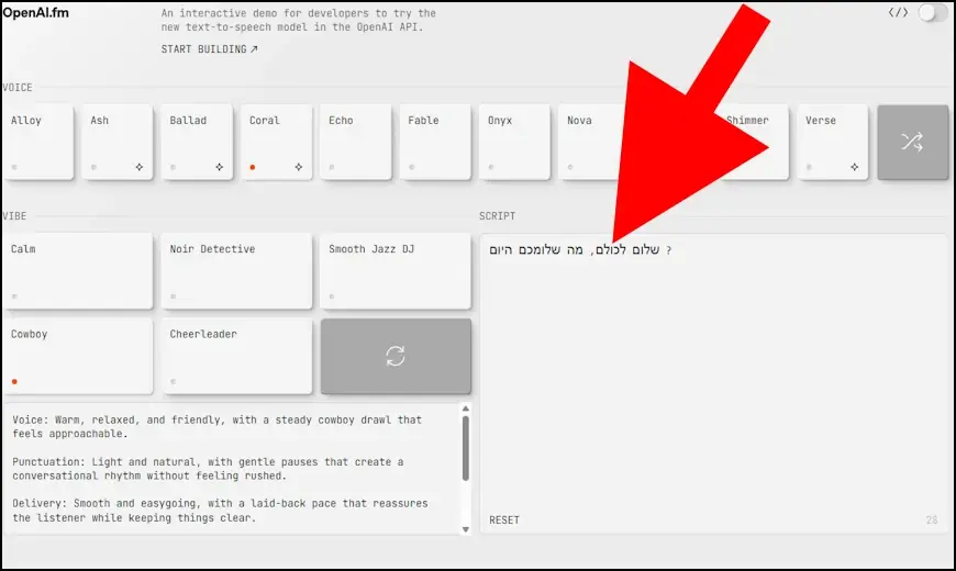 הקלידו בתיבת ה- SCRIPT את הטקסט שתרצו להפוך לדיבור