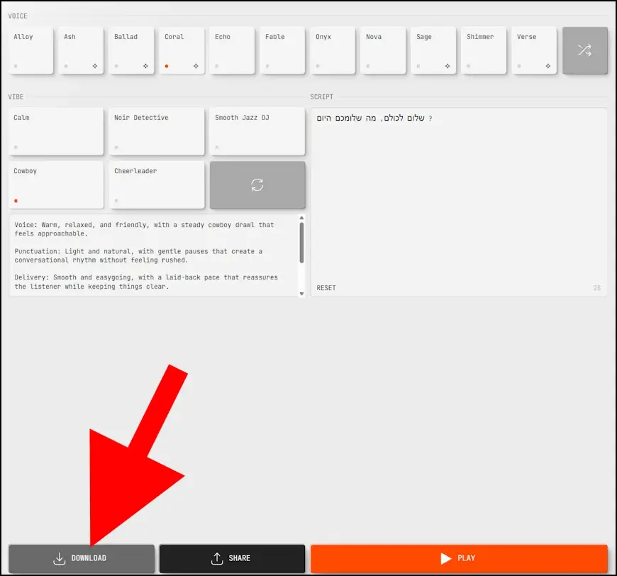 לחצו על DOWNLOAD כדי להוריד את הדיבור שיצרתם