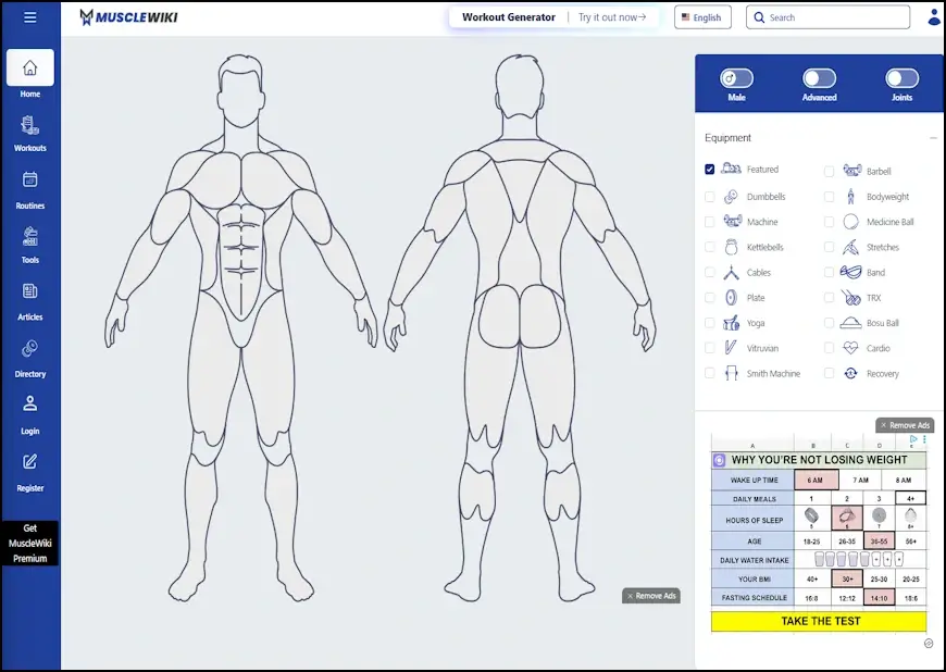מפת גוף האדם