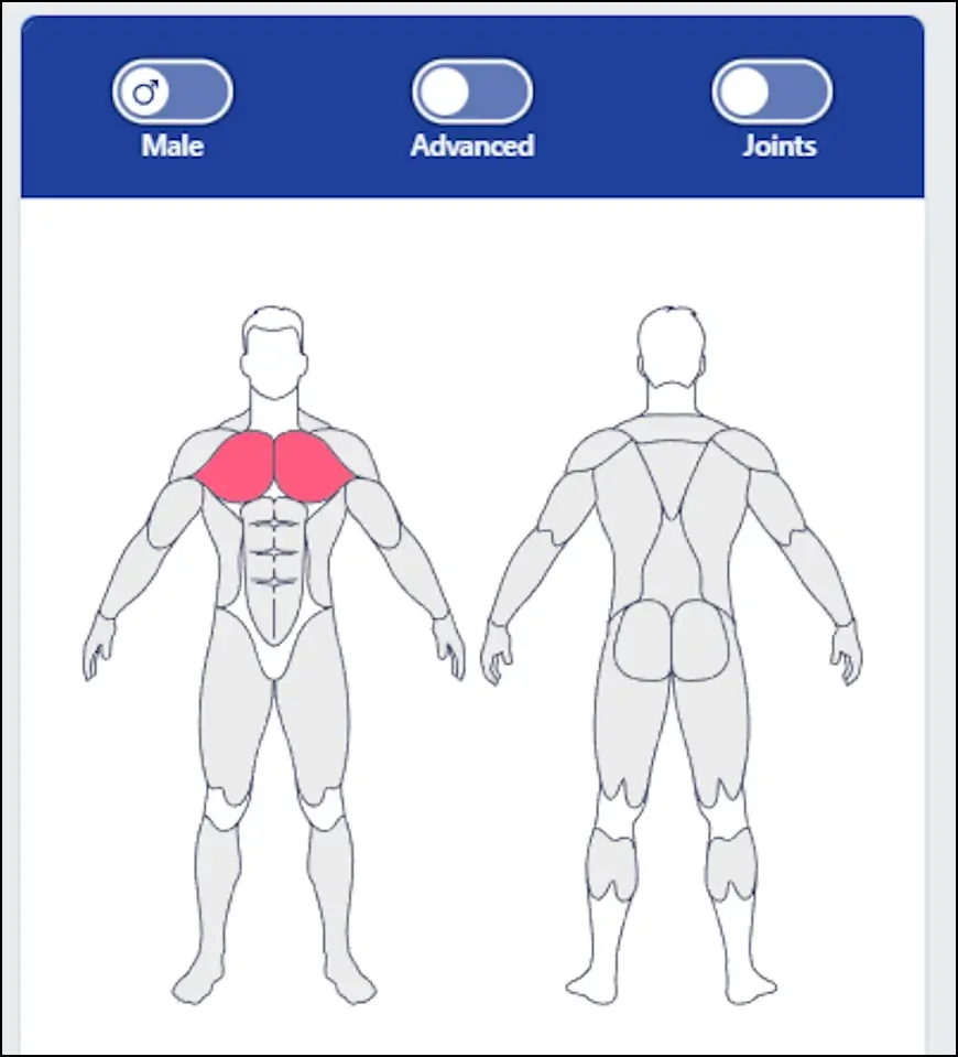 בחירת מין, רמת קושי והצגת מפרקים