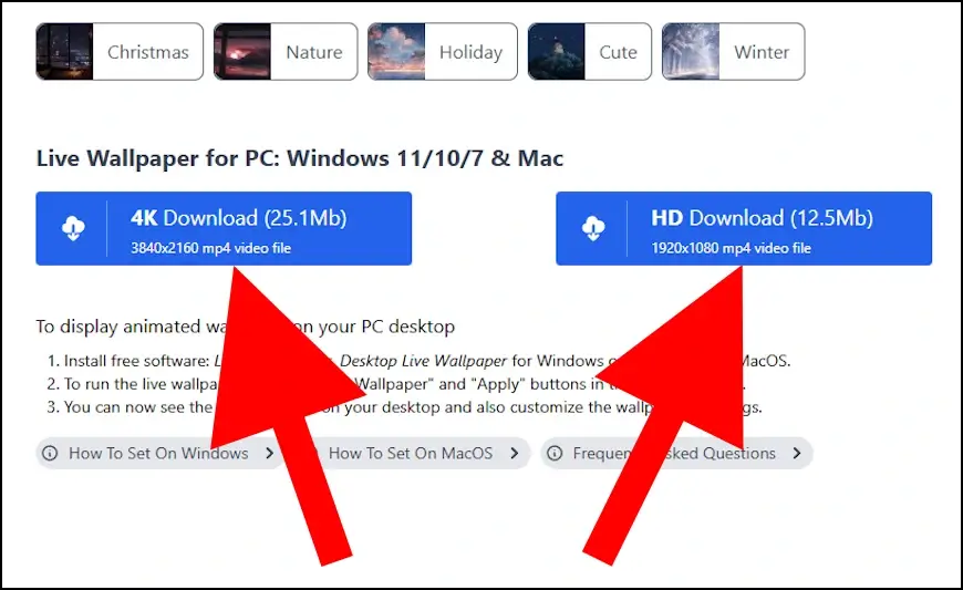 האיכויות הזמינות של הרקעים המונפשים