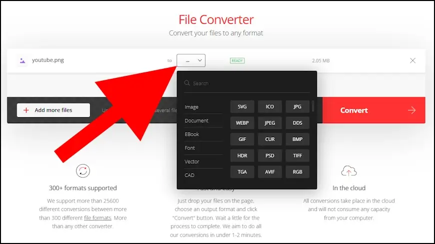 בחירת סוג הקובץ שאליו תרצו להמיר