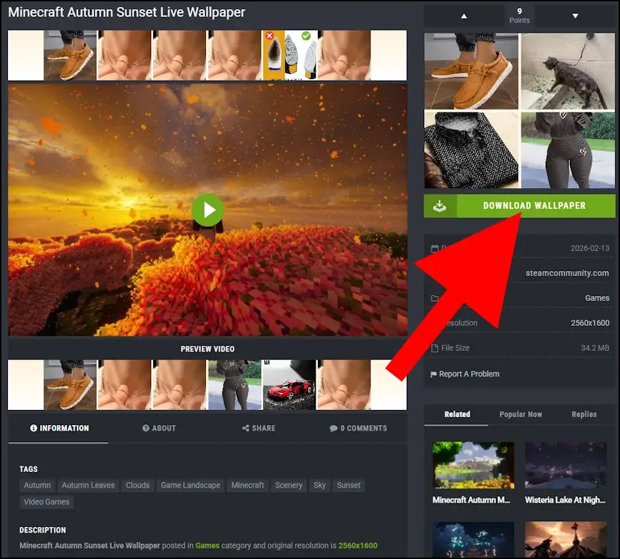 הורדת רקעים למחשב מאתר MoeWalls 