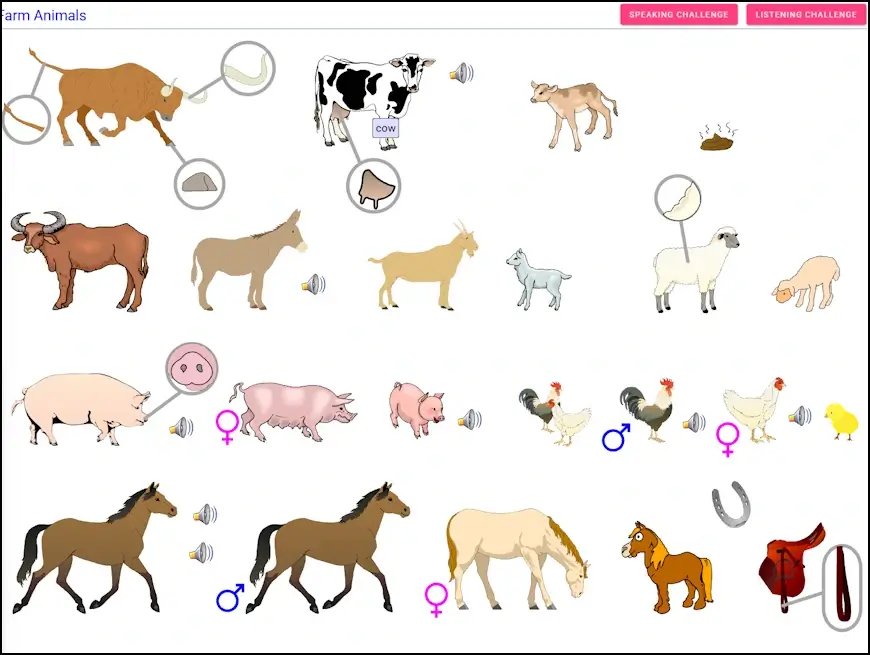 לימוד מילים