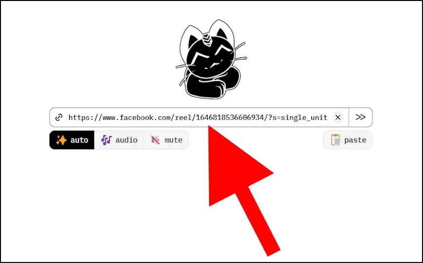 הדביקו את הקישור של הסרטון שאתם מעוניינים להוריד